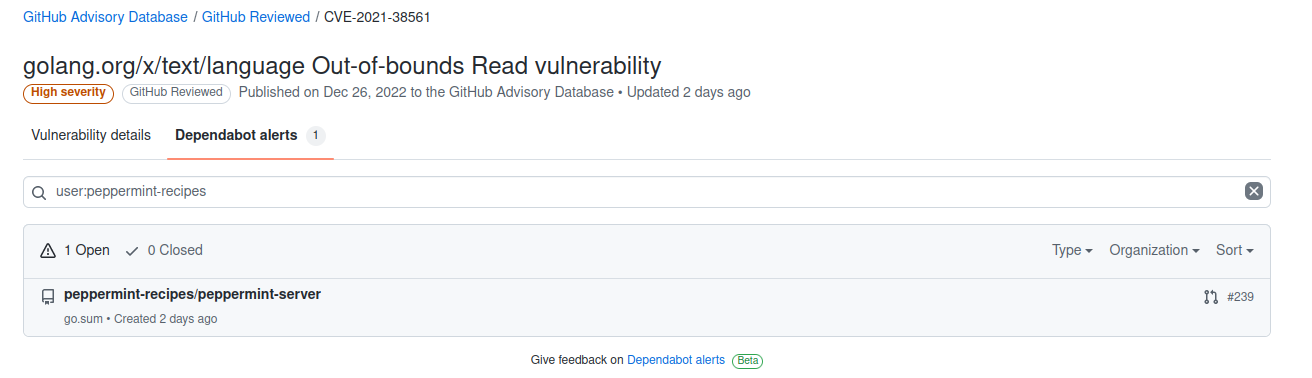 GitHub Dependabot Alert